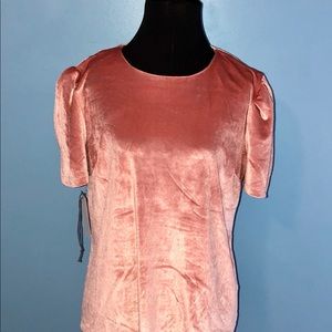 WAYF pink velvet short sleeve top size large NWT